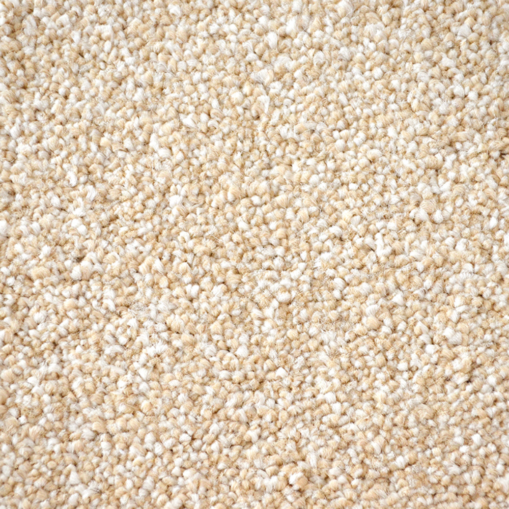 Victoria Carpets First Impressions PR02711