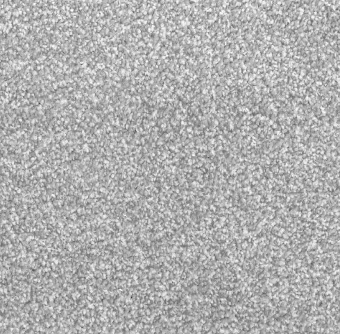 Whitehorse Collection Mirage Silver Birch - R89525 Grey