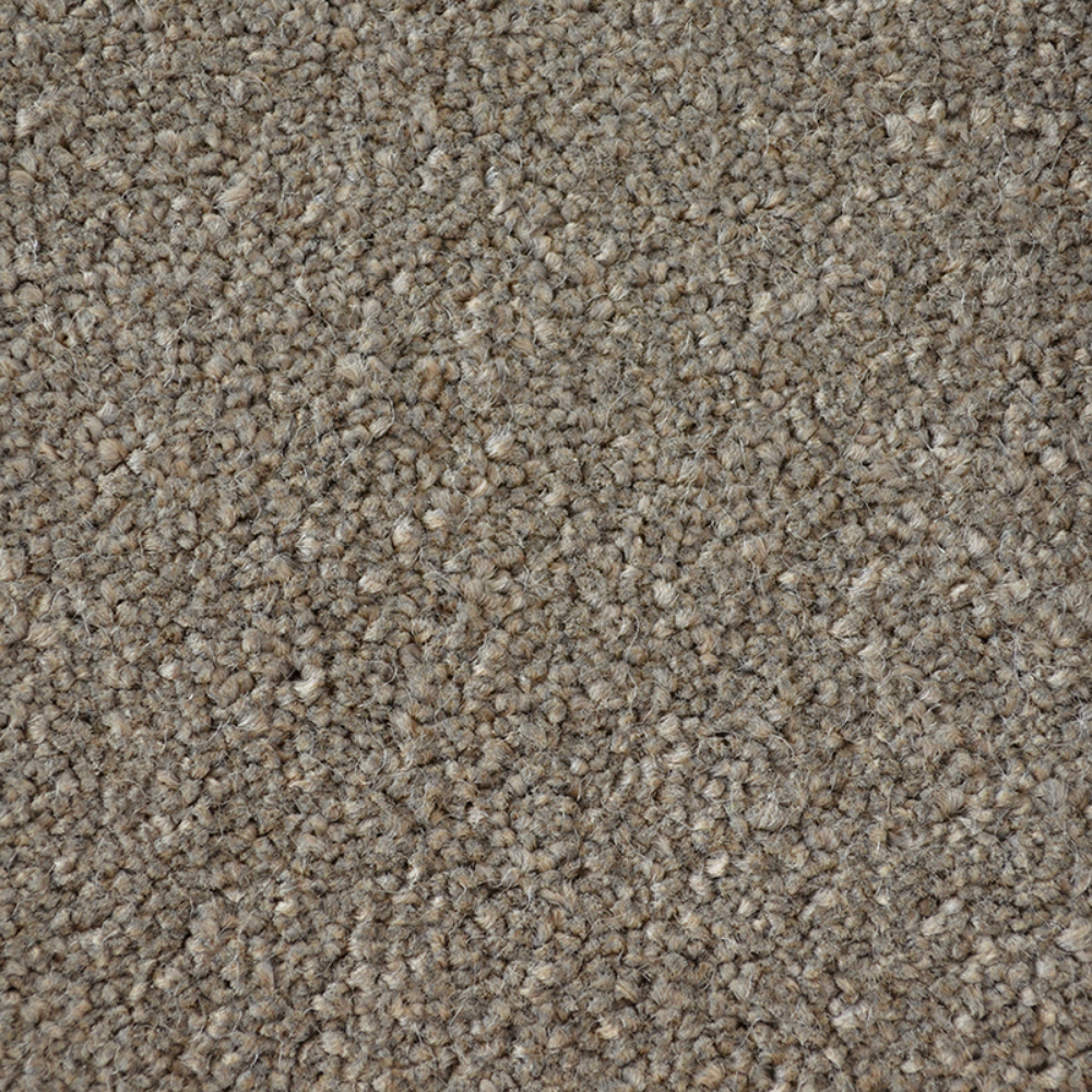 Victoria Carpets First Impressions Confident Grey - R90590 Grey