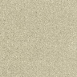 Stainfree Maximus Gunmetal Beige