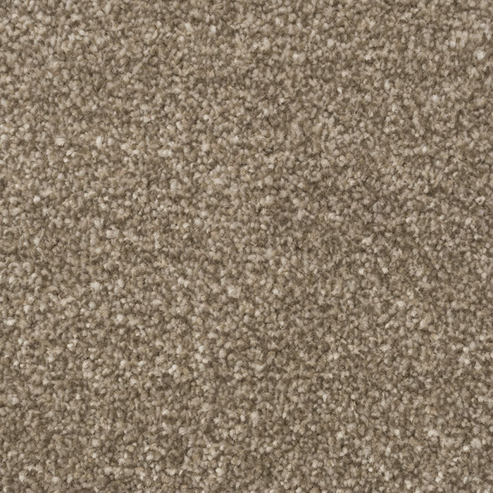 Stainfree Majesty Mink Beige