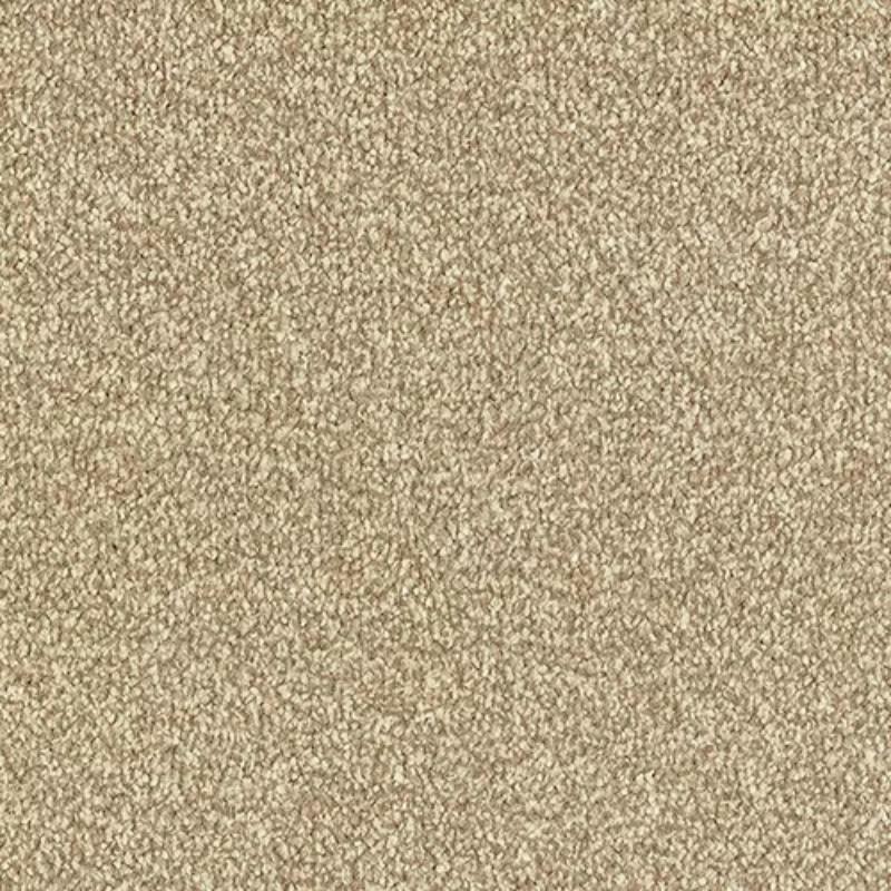 Stainfree Ultra Latte Beige